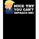 Nice Try You Can T Impeach Me Middle Finger Funny Pro Trump President Saying Proud Republican Greeting Card By Bullquacky Redbubble