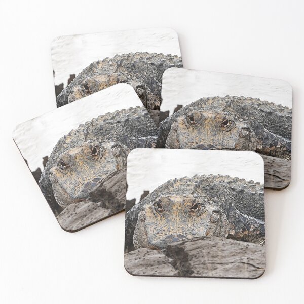 Item preview, Here's looking at you. designed and sold by Harrisonphoto.
