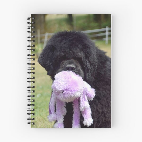 Item preview, a Newfoundland dog with his blanket designed and sold by LM-SDC.