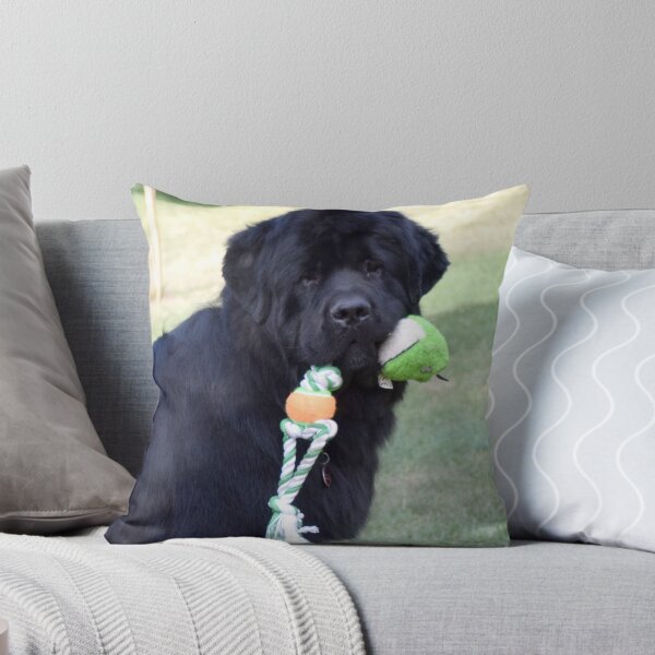 Item preview, Newfoundland dog with toy designed and sold by LM-SDC.