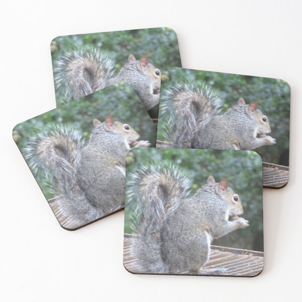 Item preview, Squirrel Photograph from Cannock Chase designed and sold by Paulele.