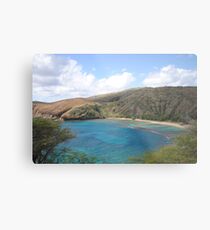Hawaii Waimea Bay Metal Print