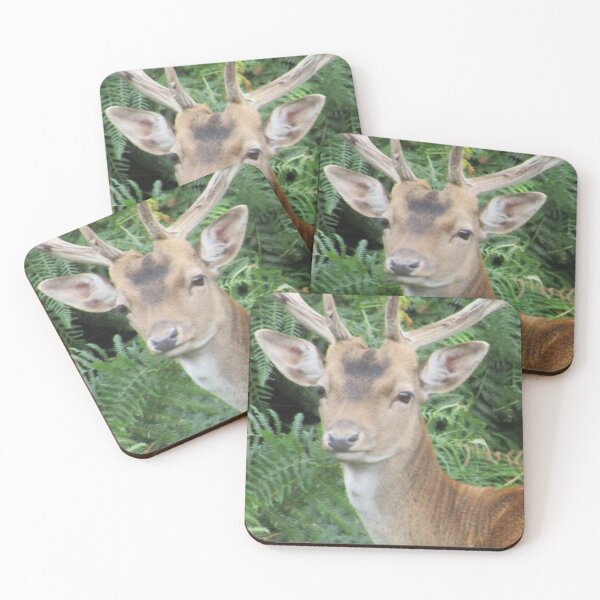 Item preview, Young Stag Photograph in Cannock Chase designed and sold by Paulele.
