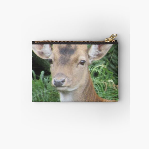 Item preview, Young Stag Photograph in Cannock Chase designed and sold by Paulele.
