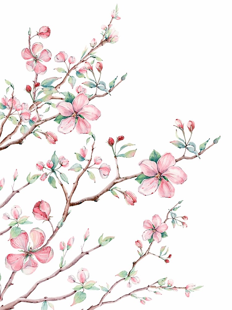 Apple Blossom by Wheimay