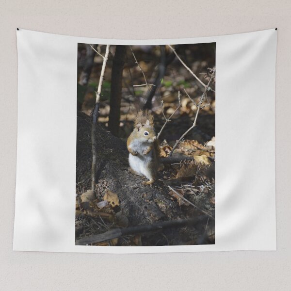 Item preview, boxer squirrel designed and sold by JIM-AND-ME.