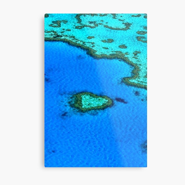 Heart Reef Metal Print
