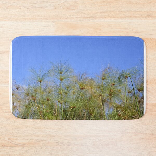Item preview.