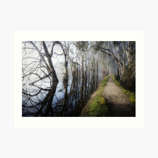 Red Autumn Leaves Forest Trees Sunset Waterfall Photo Wall Canvas Landscape RMC