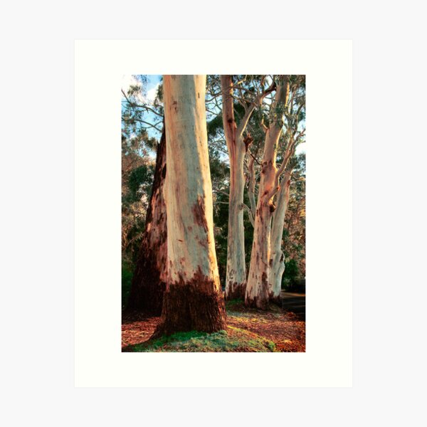 Item preview, Gums in the Hills designed and sold by Andrew Dickman.