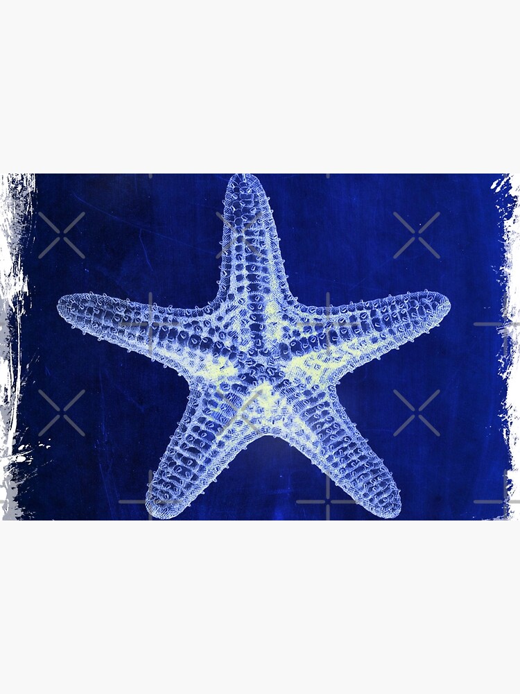 Discover coastal seaside ocean navy blue beach chic starfish | Bath Mat