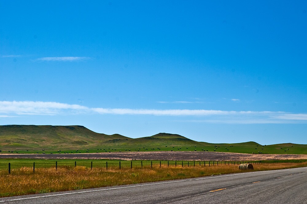"Judith Basin County (Montana) Landscape" by Bryan D. Spellman Redbubble