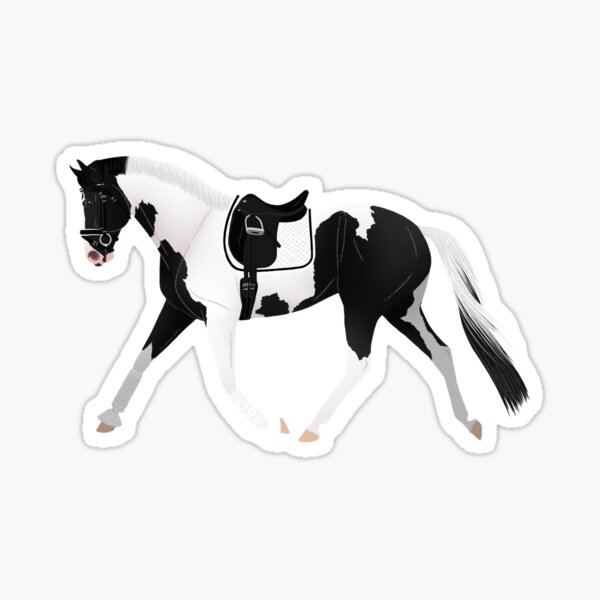 Item preview, Dressage Pinto Warmblood - Equine Rampaige designed and sold by equinerampaige.
