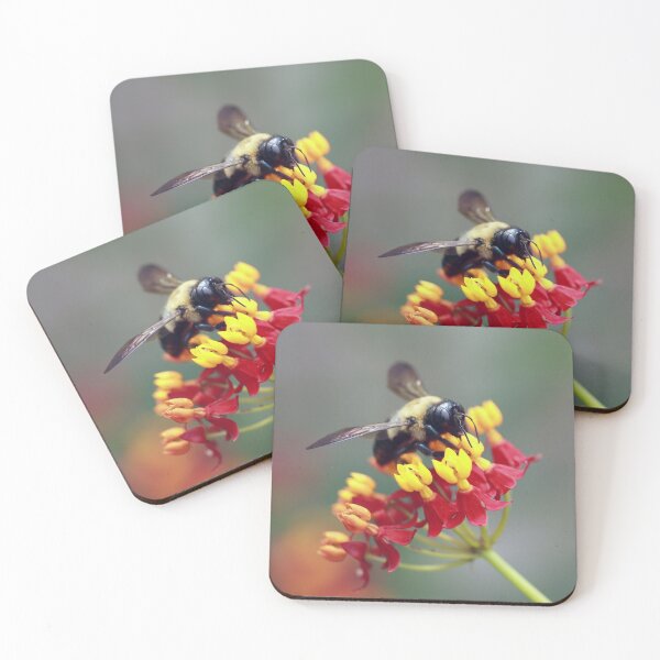 Item preview, Bee on Milkweed designed and sold by StampCity.