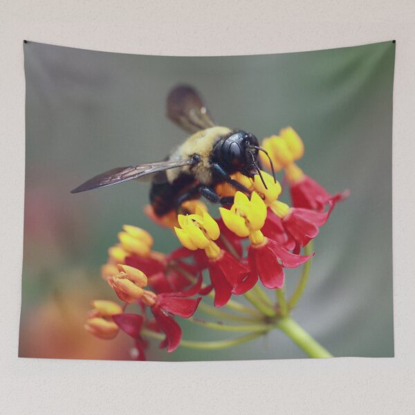 Item preview, Bee on Milkweed designed and sold by StampCity.