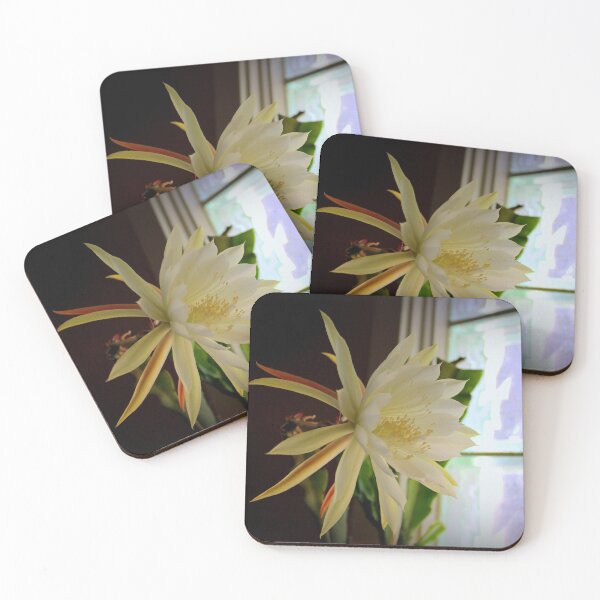 Item preview, Glass Blocks With 'Softlights' designed and sold by Michael May.