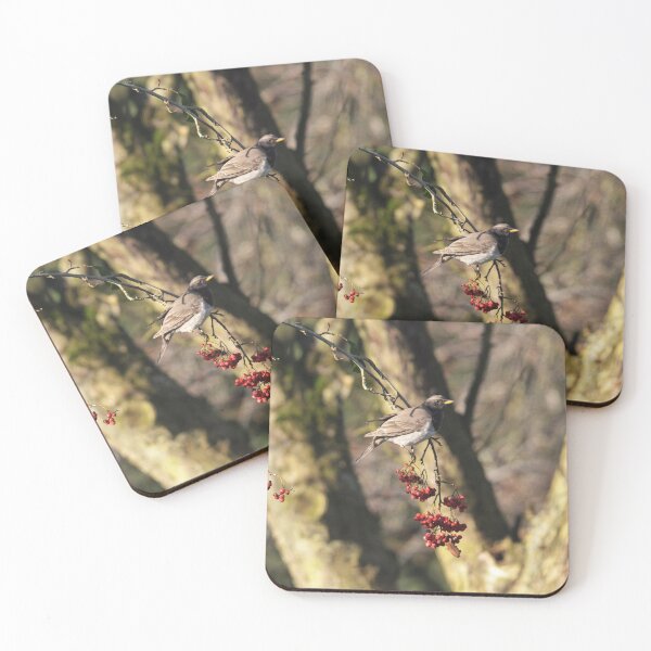 Item preview, Black-throated Thrush with Berries designed and sold by MinkMaguari.