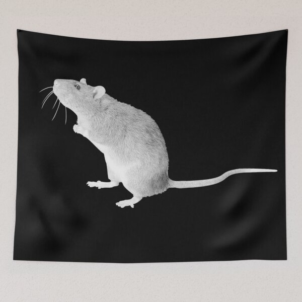 Item preview, Cute rat   designed and sold by matt2151.