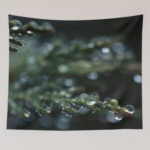 Item preview, Evergreen Drops designed and sold by StampCity.