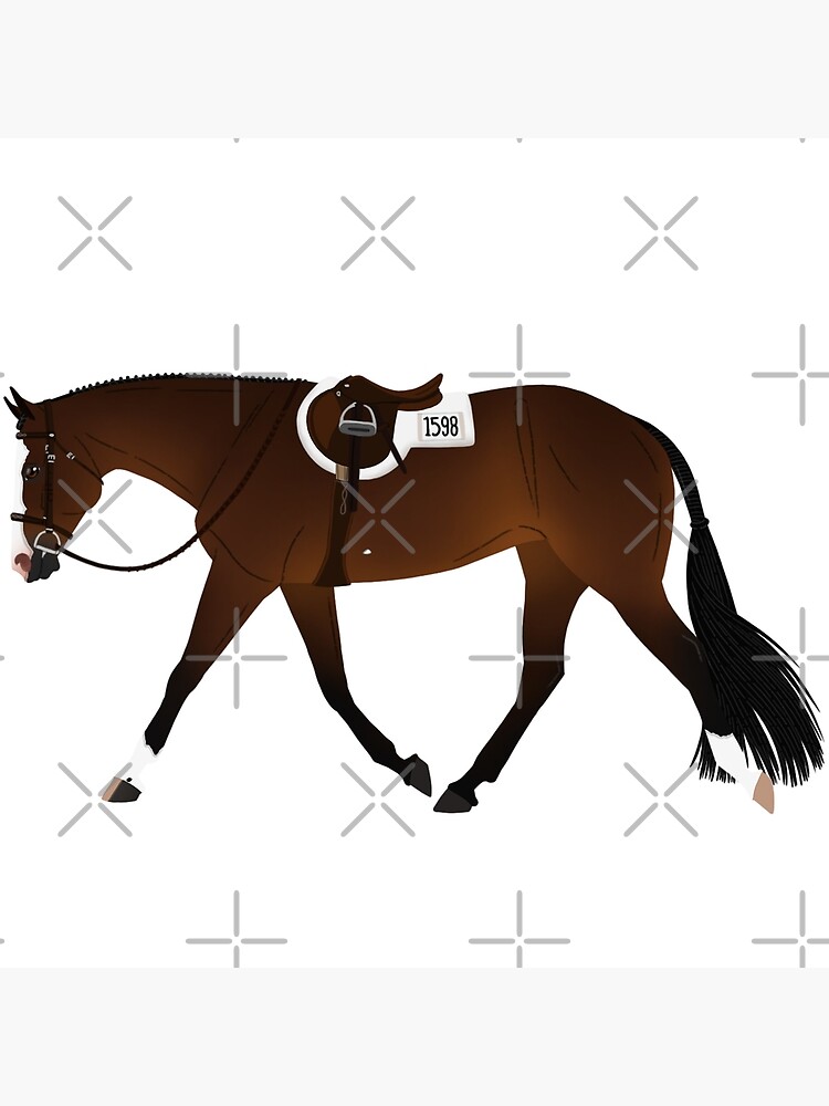 "Bay Solid Paint Hunter Horse Equine Rampaige" Poster for Sale by equinerampaige Redbubble
