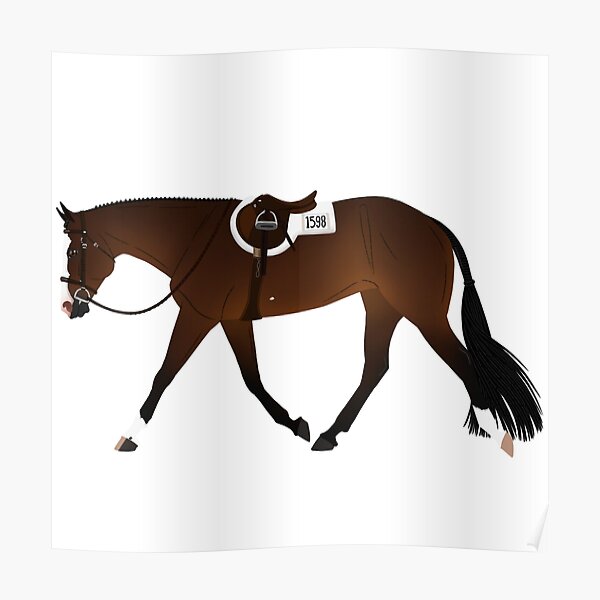 "Bay Solid Paint Hunter Horse Equine Rampaige" Poster for Sale by equinerampaige Redbubble