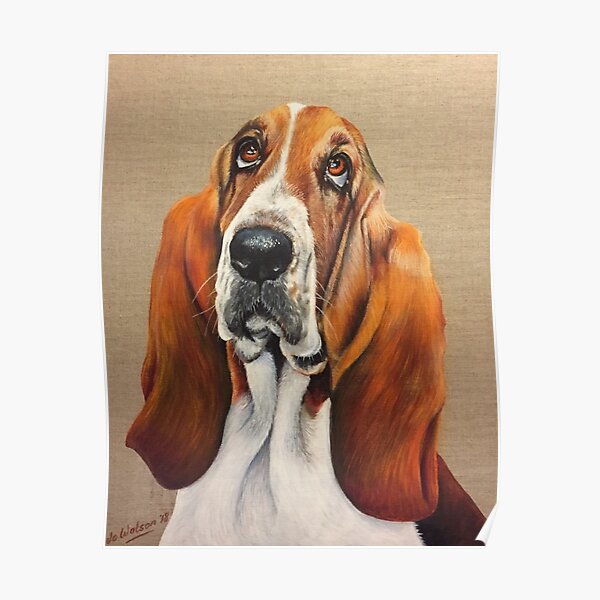 patrick sharp basset hound