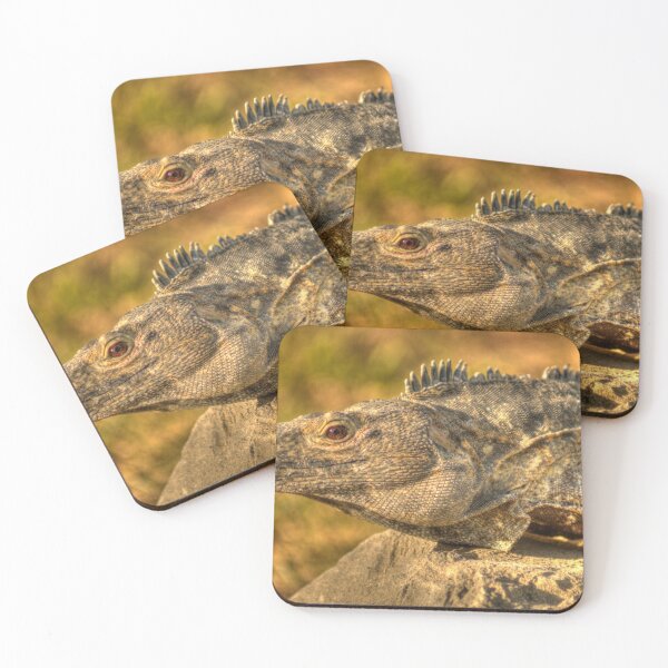 Item preview, hli iguana designed and sold by pcfyi.