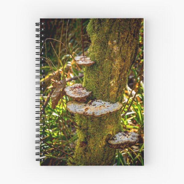 Item preview, Tree Funghi designed and sold by MLP Fine Art.