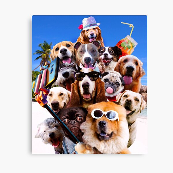 Item preview, Dog Selfie Wearing Glasses designed and sold by SkylerJHill.