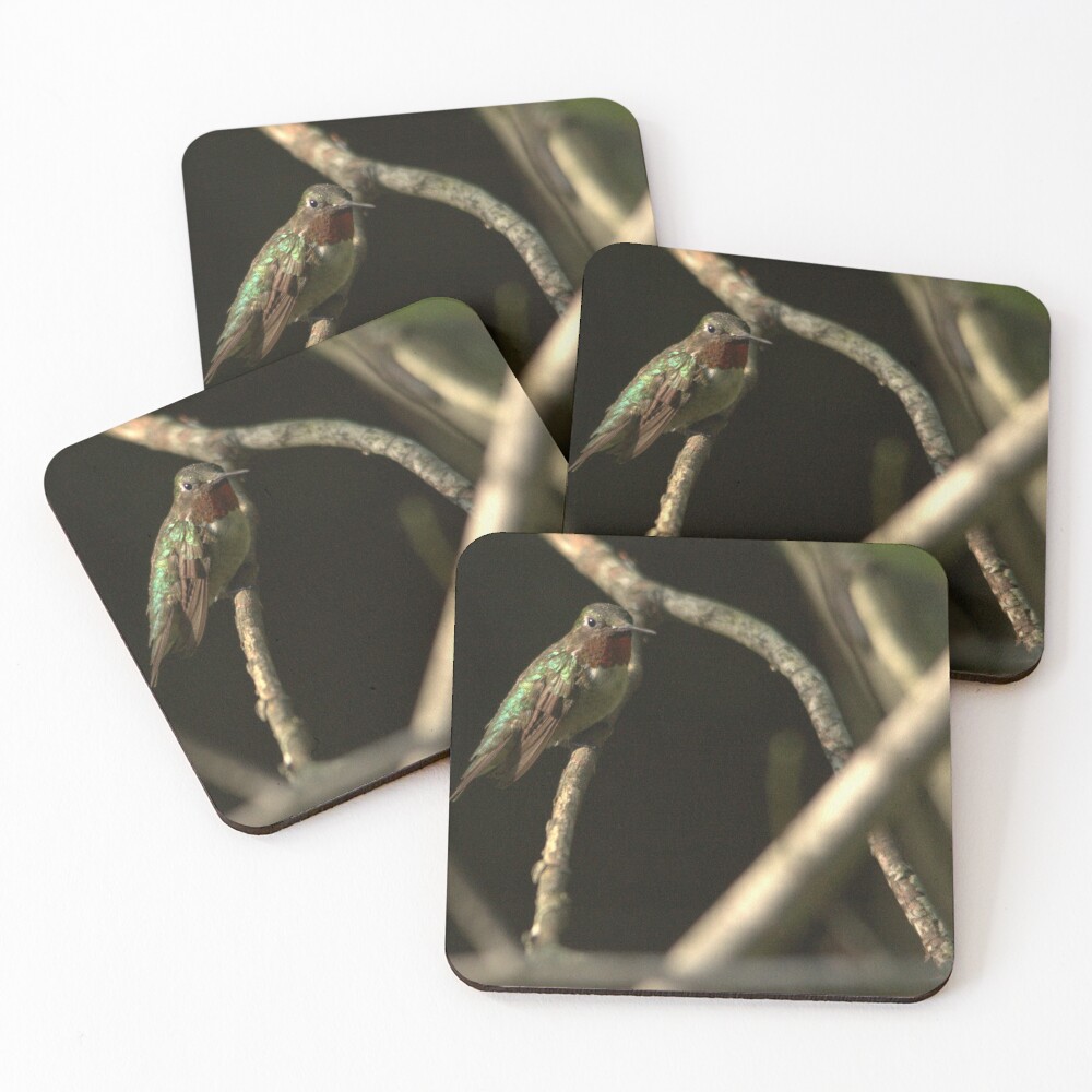 Item preview, Coasters (Set of 4) designed and sold by Riddick4x5.