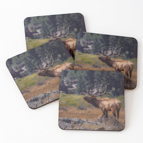 Item preview, Speaking to the masses. RMNP, 2019. designed and sold by martinm4nhunter.