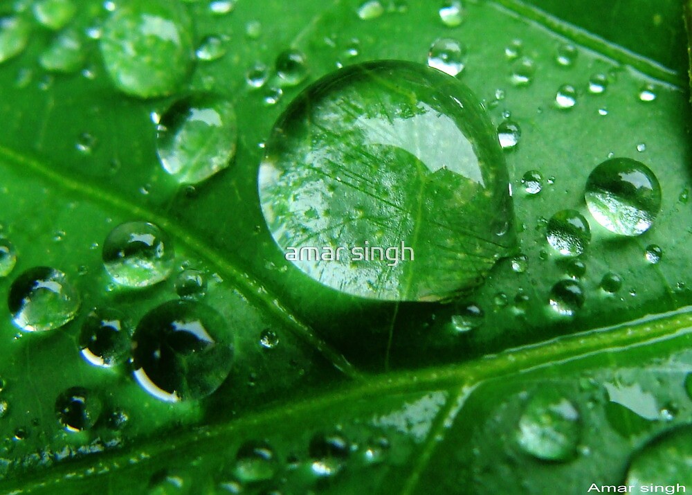 "Water Drop Magnifier" by amar singh Redbubble