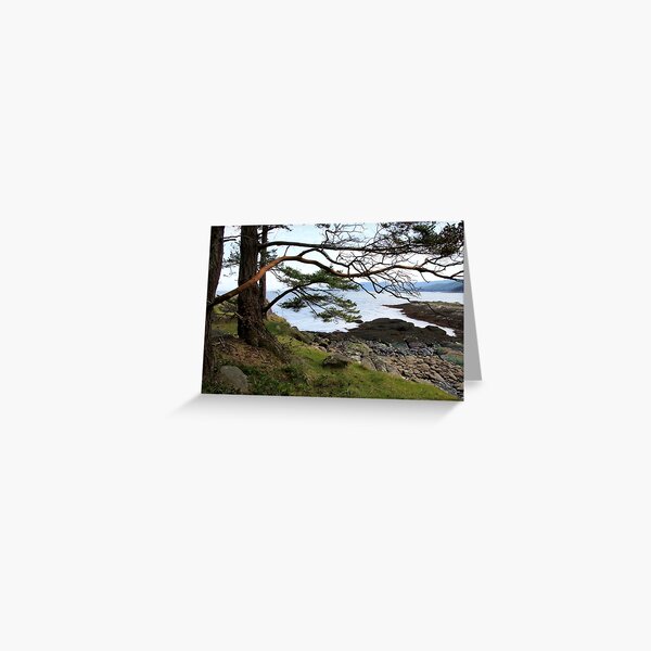 sea glimpse Greeting Card