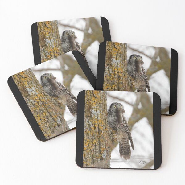 Item preview, Lunch anyone? designed and sold by TCW Studios.