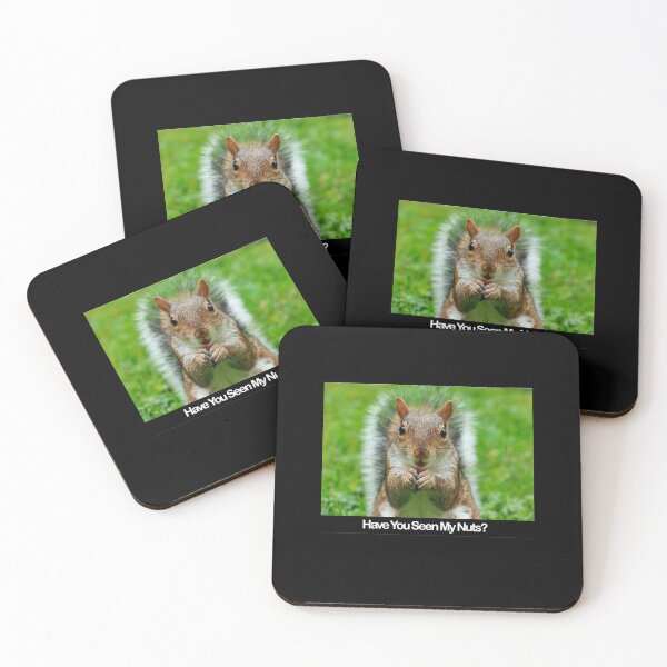 Item preview, Have You Seen My Nuts? - Funny Squirrel  designed and sold by Thingy72.
