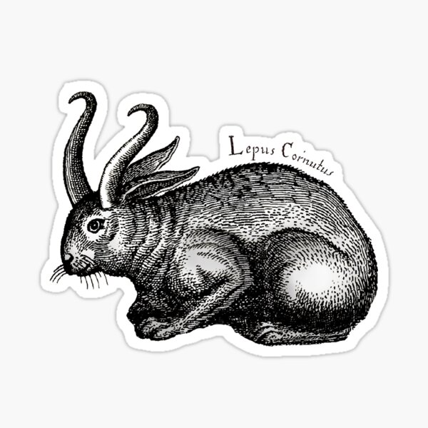 Artikel-Vorschau von Gehörnter Hase (Jackalope), designt und verkauft von themewbert.