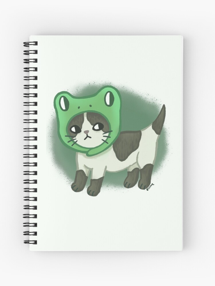 Cat With Frog Hat Meme ubicaciondepersonas.cdmx.gob.mx
