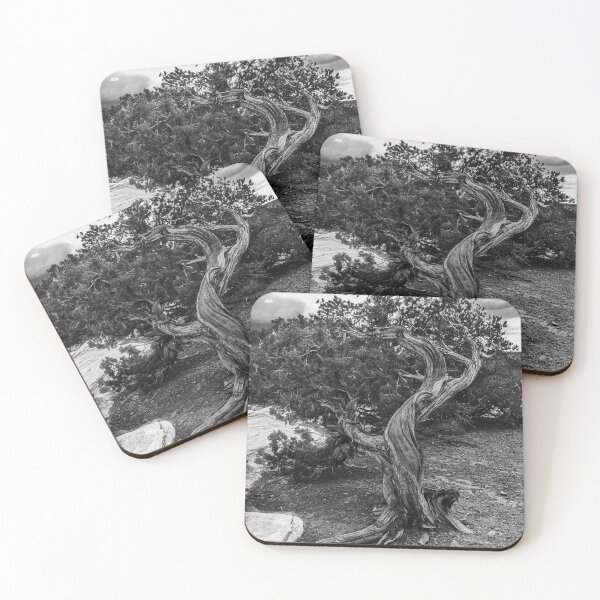 Item preview, Twisted Wood in the Canyonlands designed and sold by Bryan Spellman.