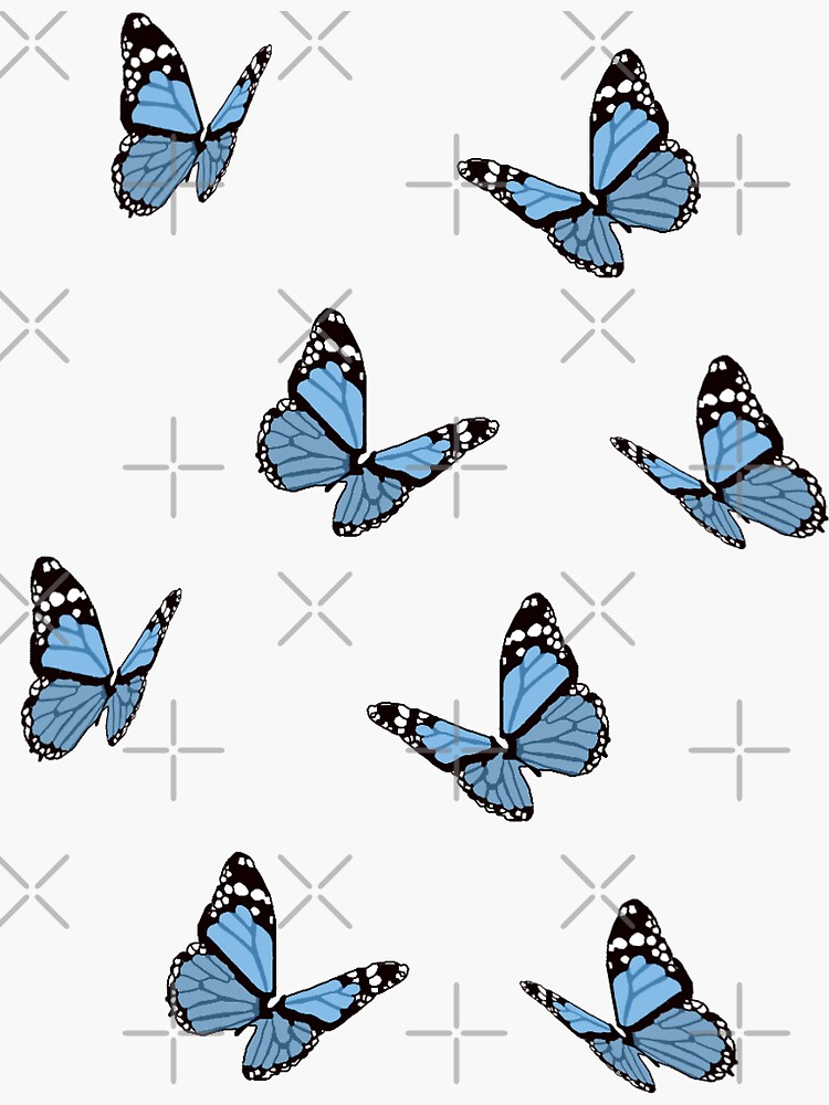 Butterfly Wallpaper  NawPic