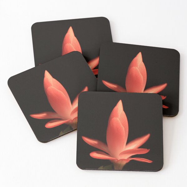 Item preview, Christmas Cactus Bloom designed and sold by RebeccaBlackman.