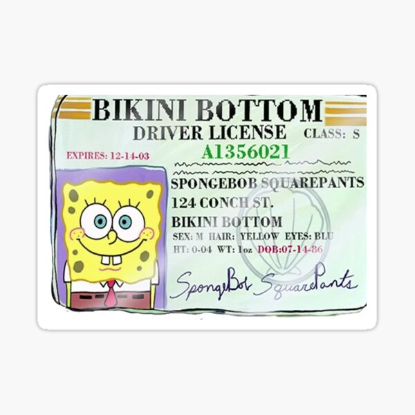 spongebob moletom com capuz driver's license