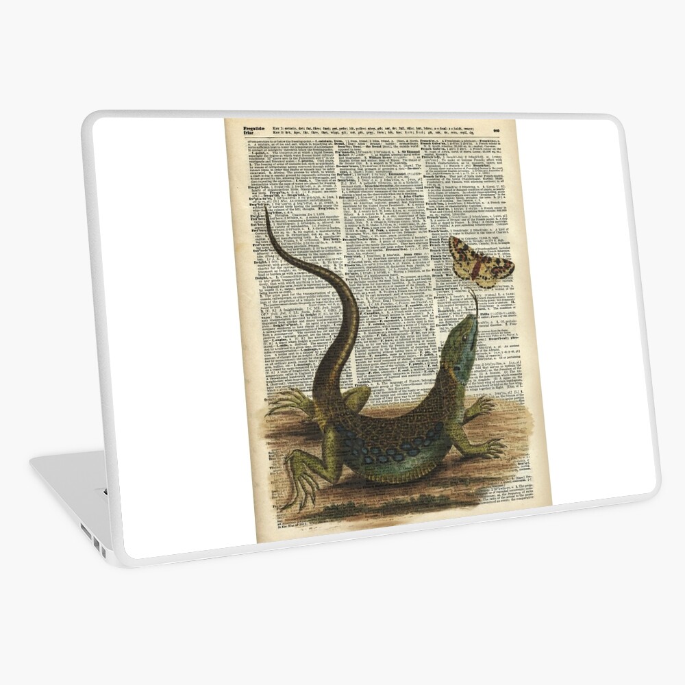 Lizard catching a moth,Vintage Illustration of Reptile. Greeting Card for  Sale by DictionaryArt