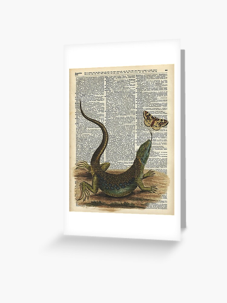 Lizard catching a moth,Vintage Illustration of Reptile. Greeting