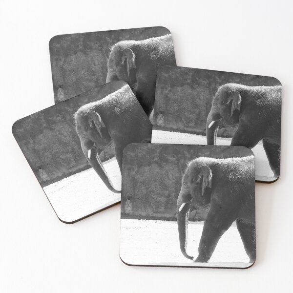 Item preview, The Walk designed and sold by Olivia Plasencia.