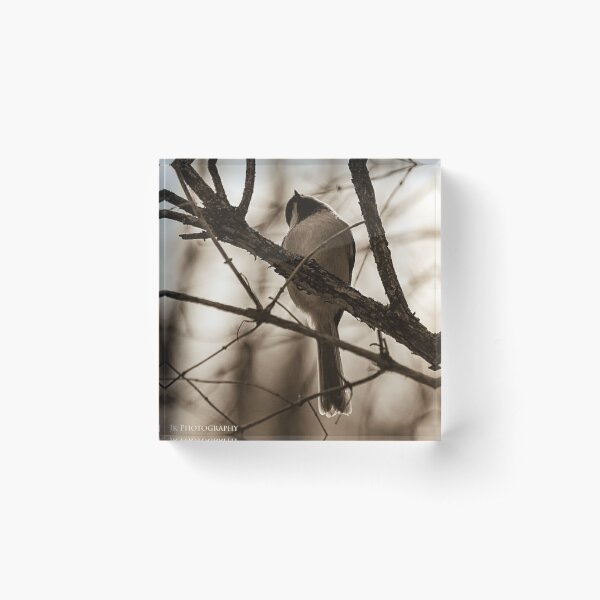 Item preview, To fly or not to fly...that might be the question. designed and sold by photobyjr.