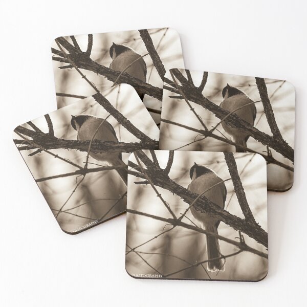 Item preview, To fly or not to fly...that might be the question. designed and sold by photobyjr.