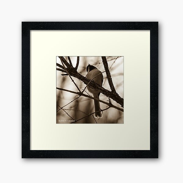Item preview, To fly or not to fly...that might be the question. designed and sold by photobyjr.