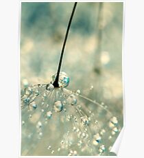 Fairy Blue Poster