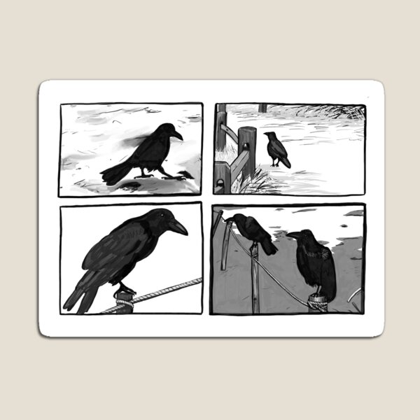 ravens magnet