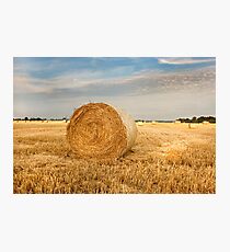 Norfolk Hay Bale Photographic Print